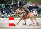 Pferd International 145
